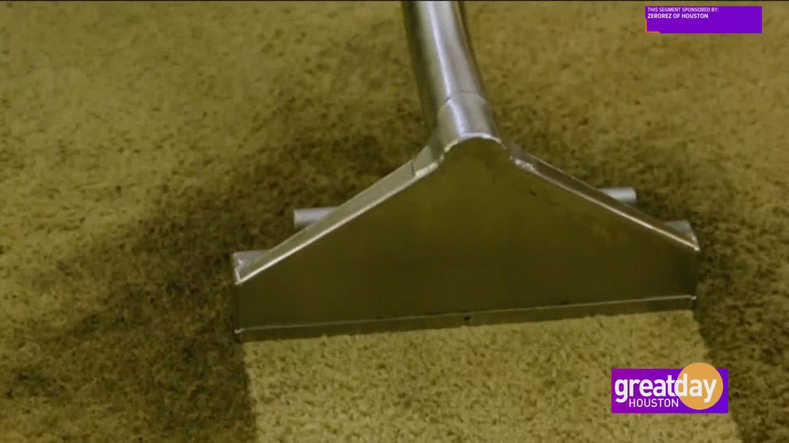 Get Rid Of Pet Stains On Your Carpets With Zerorez Of Houston Khou