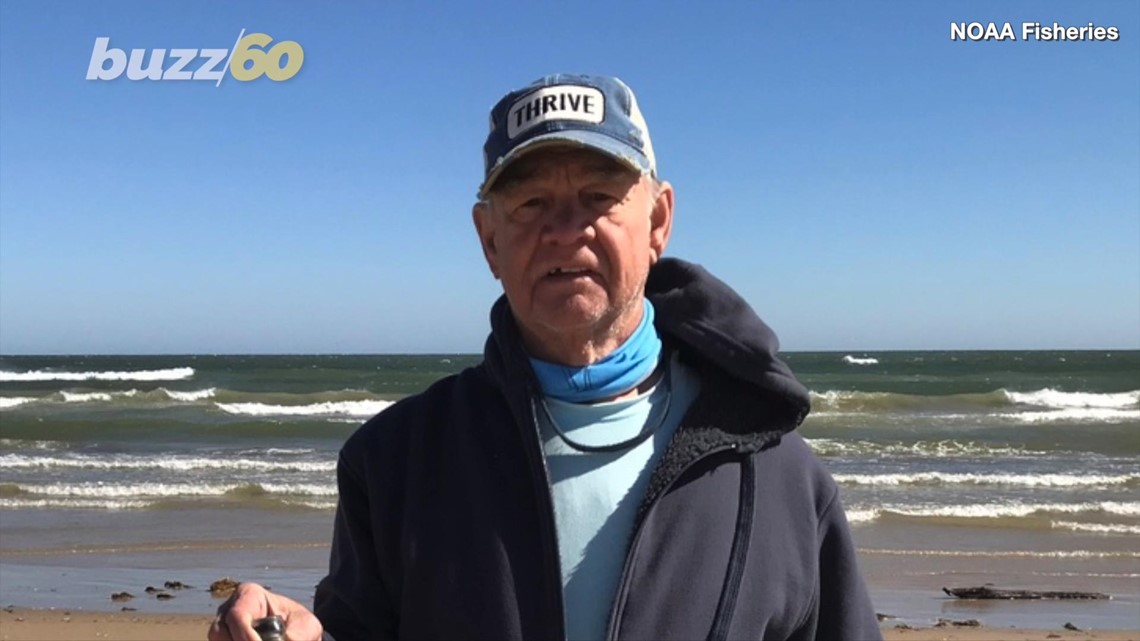 56-Year-Old Message In a Bottle Found on A Texas Beach ...