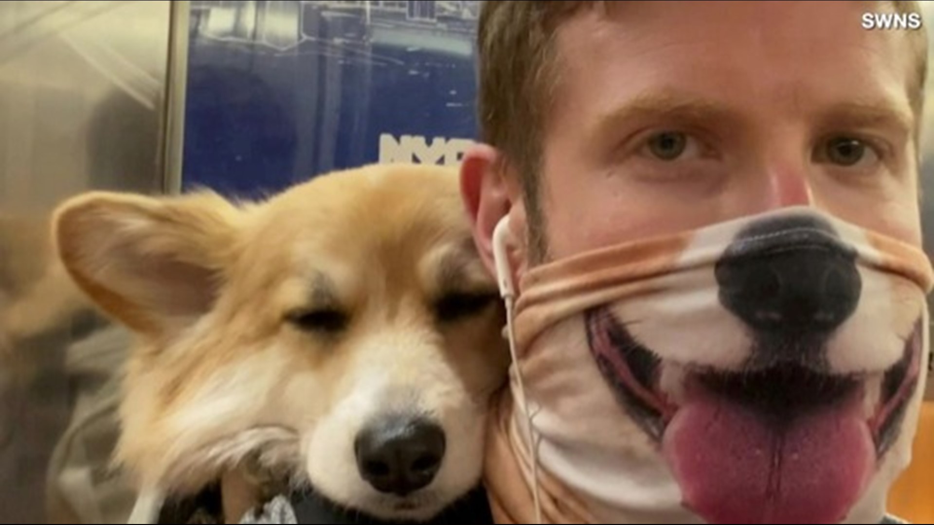 corgi subway backpack