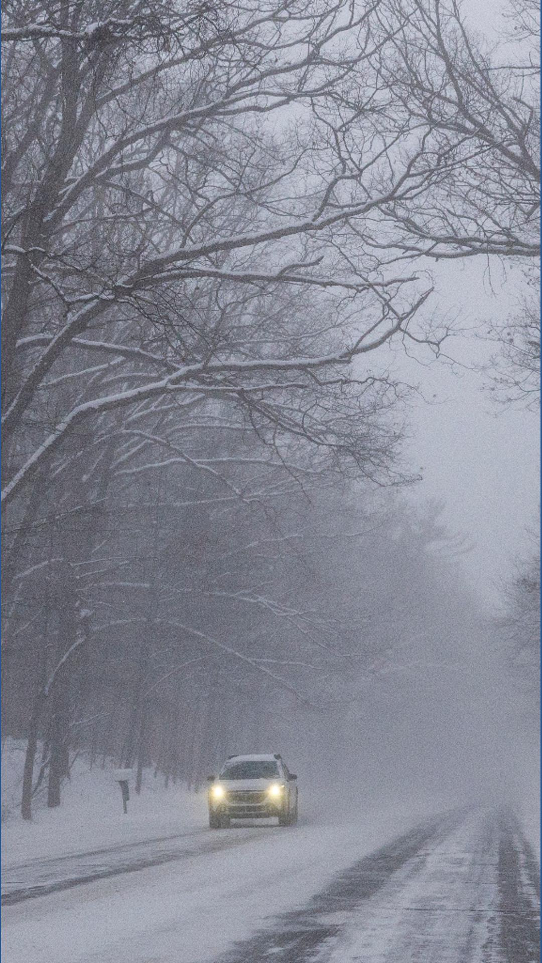 Khou Weather Can trees 'explode' during winter weather? | khou.com