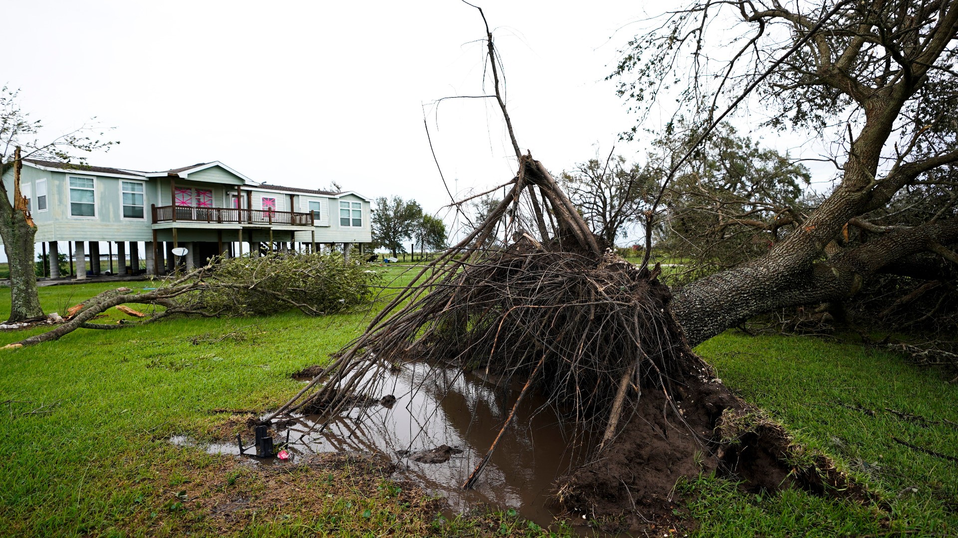Hurricane Laura: 14-year-old girl dies after tree falls on home | khou.com