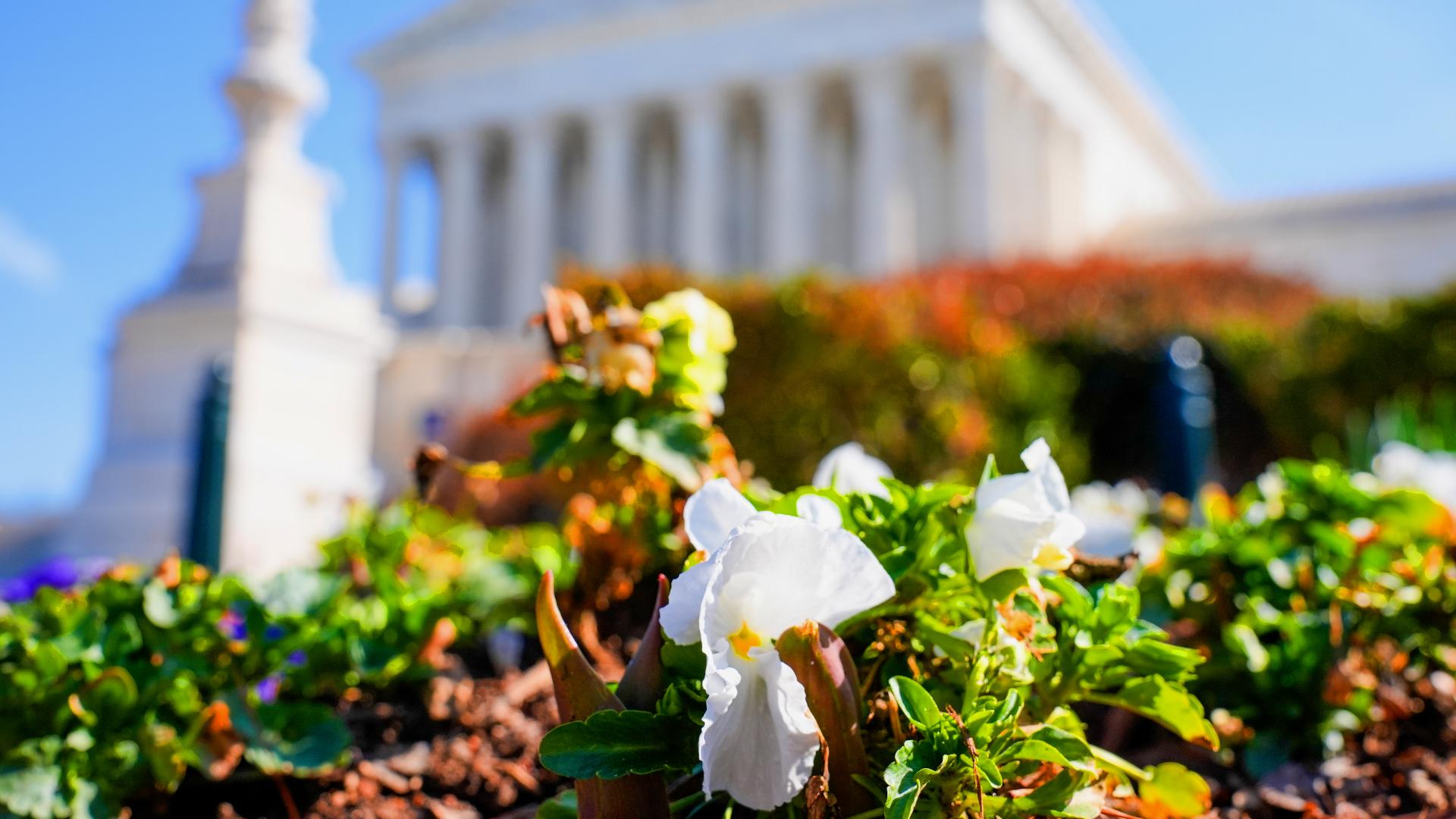 Spring Equinopx Is spring really — finally — here? What to know about Friday's vernal ...