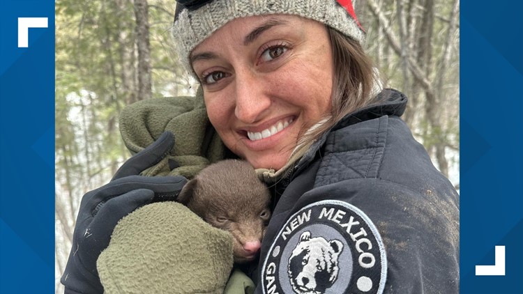 New Mexico hiring 'professional bear huggers'