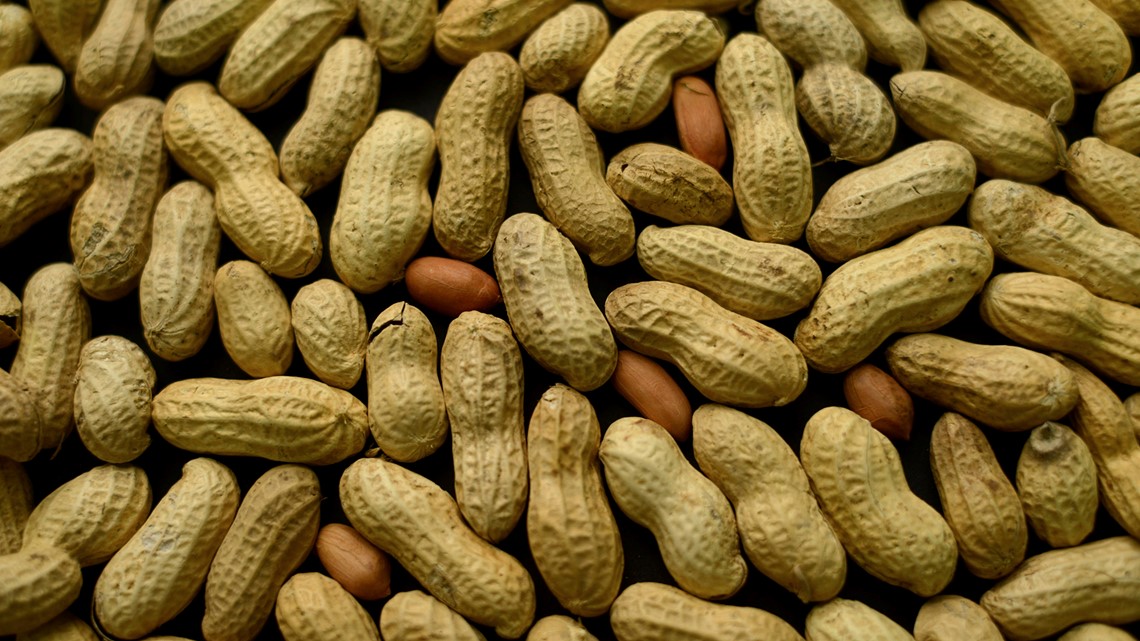 Alergi kacang pada beberapa balita dapat dijinakkan lebih awal, studi menunjukkan