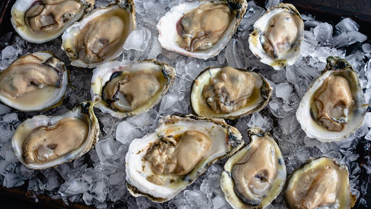 FDA warns against eating raw oysters distributed to 13 states