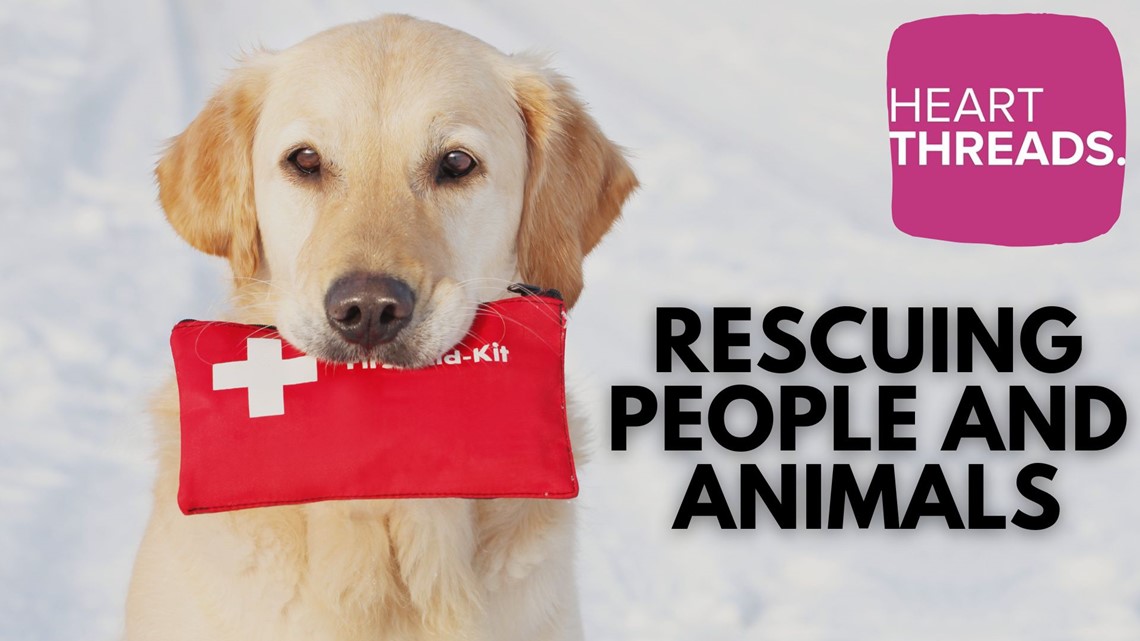 HeartThreads | Rescuing people and animals