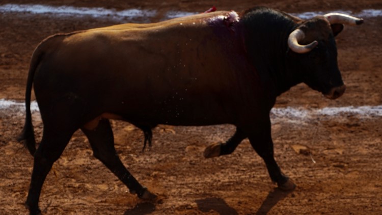 4 killed when stands collapse during colombian bullfight