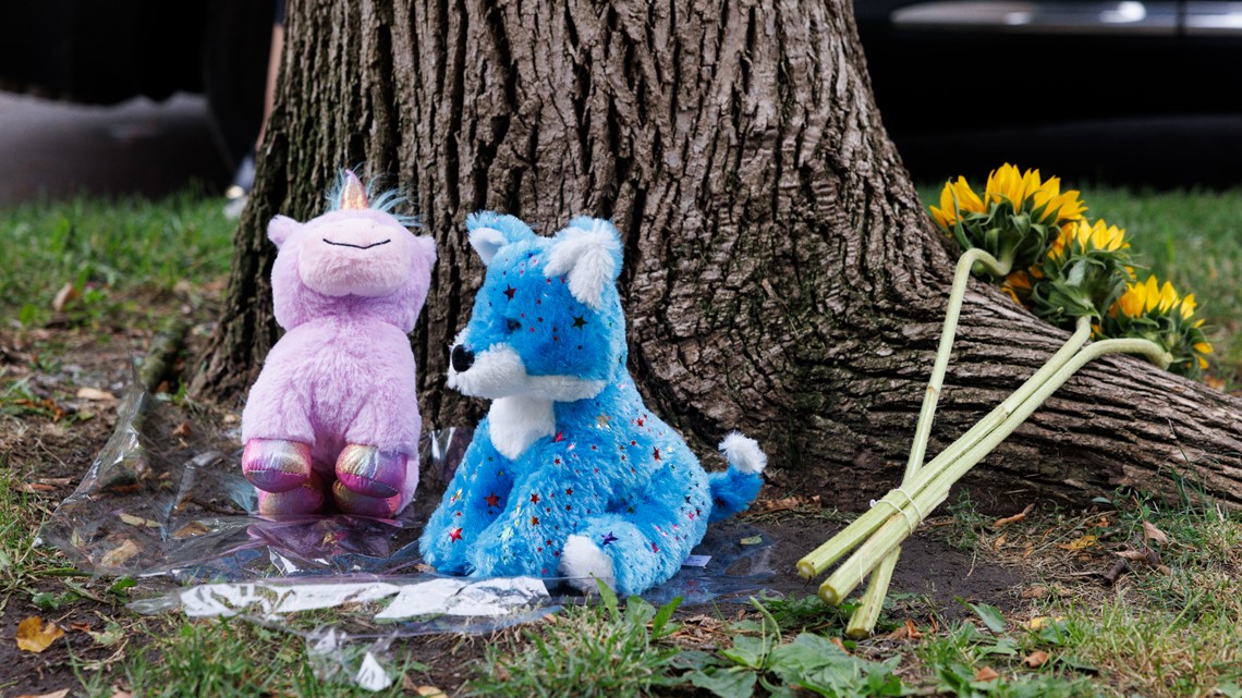 9-year-old girl fatally shot in head in Chicago; gunman arrested | khou.com