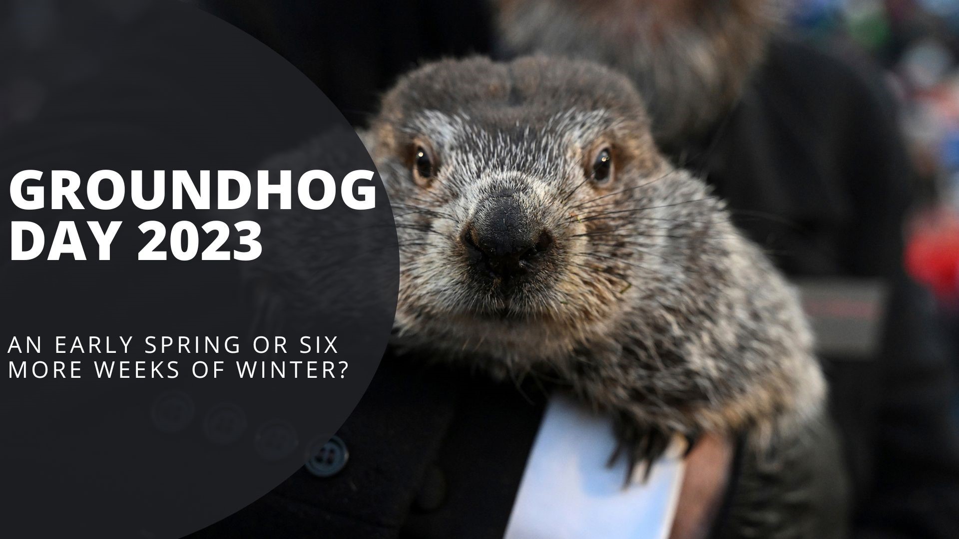 Will Punxsutawney Phil see his shadow or not? A look at the annual ceremony and this year's predictions, plus more on the origins of the holiday.