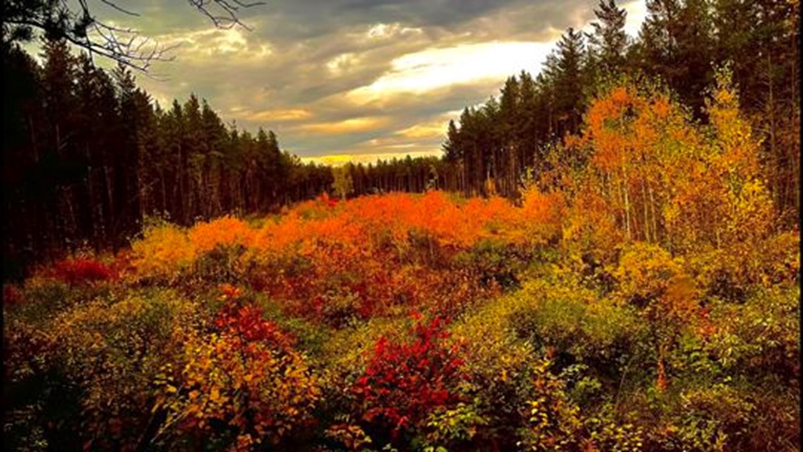 Minnesota Fall Color Report is back - Vimarsana News