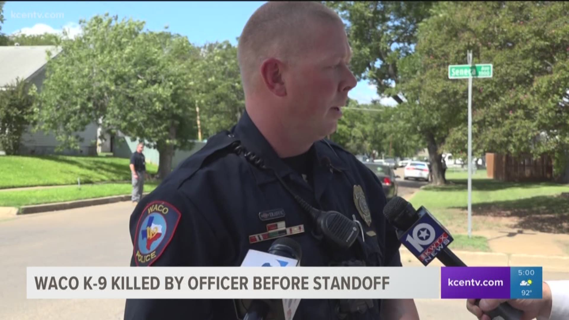 Texas police dog shot dead after biting handler during raid | khou.com