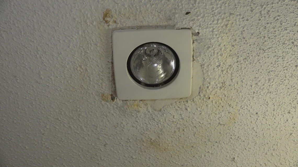 Moldy apartment concerns frustrates renter - Vimarsana News