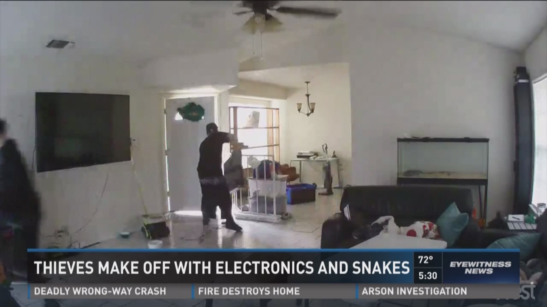 Crooks caught on camera stealing snakes, electronics from SA home ...