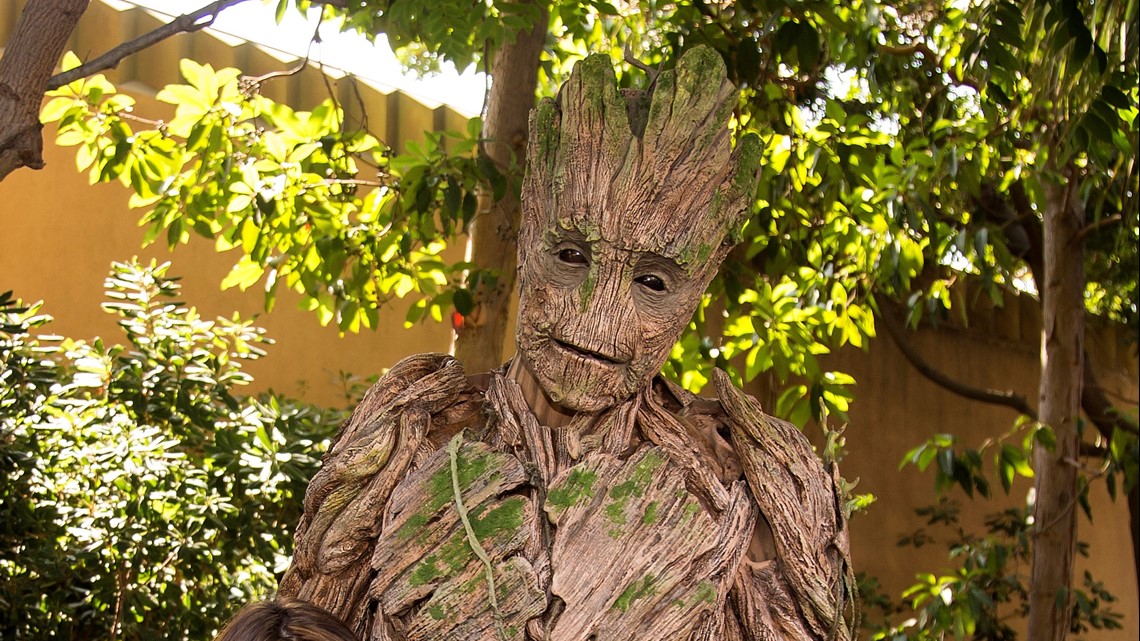 Groot image