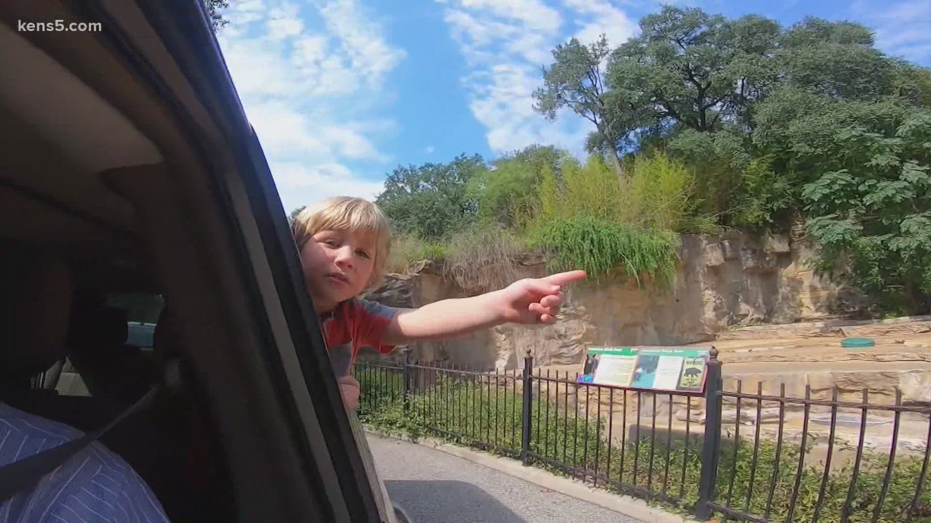 Drive-thru zoo becomes so popular, zoo staff keep it rolling | khou.com