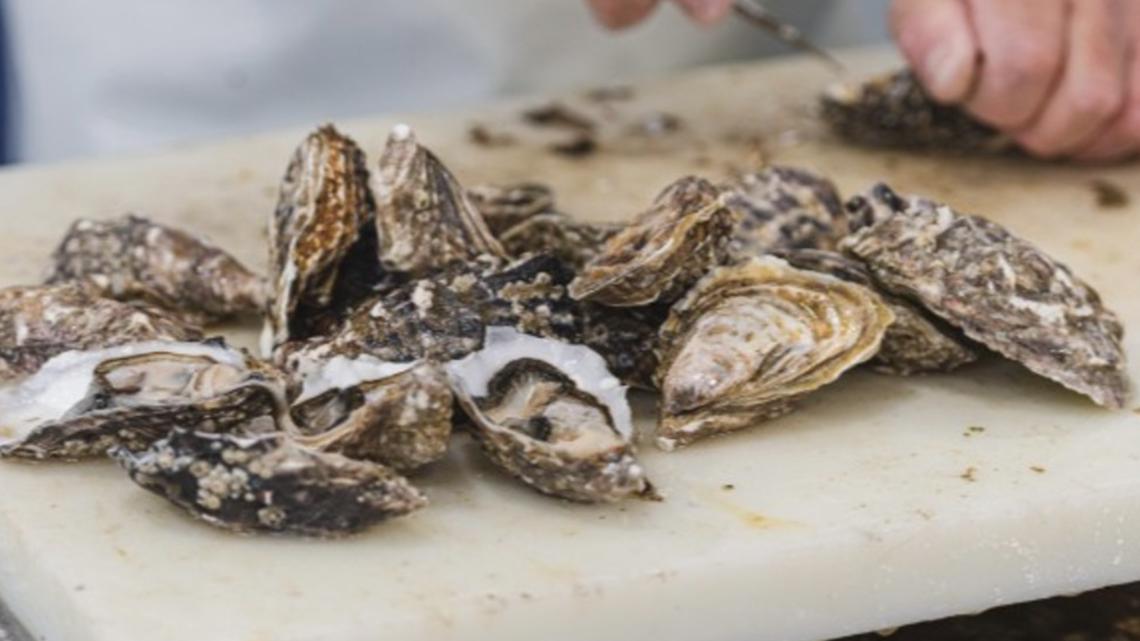 Salmonella cases linked to raw oysters in 22 states, including Texas