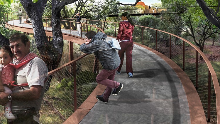 Stunning new treetop 'Skywalk' opens at San Antonio's Phil Hardberger Park