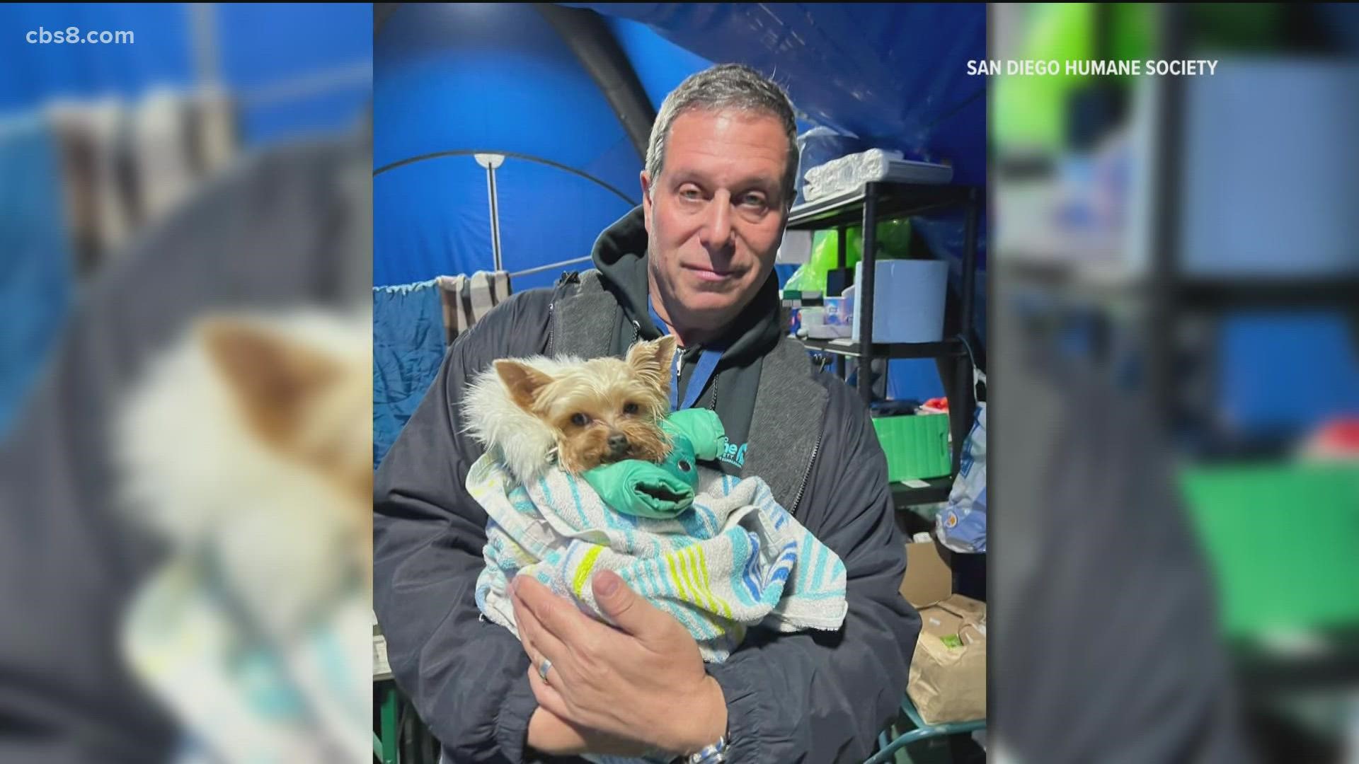 The head of the San Diego Humane Society just returned from the Ukrainian border. His goal was to keep refugees and their pets together.
