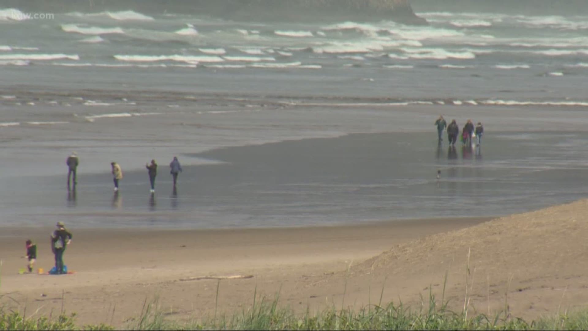 Reactions to the offshore drilling proposal along the west coast.