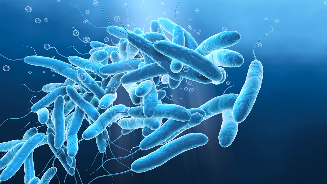 Fort Bend County Legionnaire's disease outbreak | Texas news - Vimarsana News