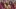 Humble ISD students stripped of Spanish National Honor Society  sashes on graduation day