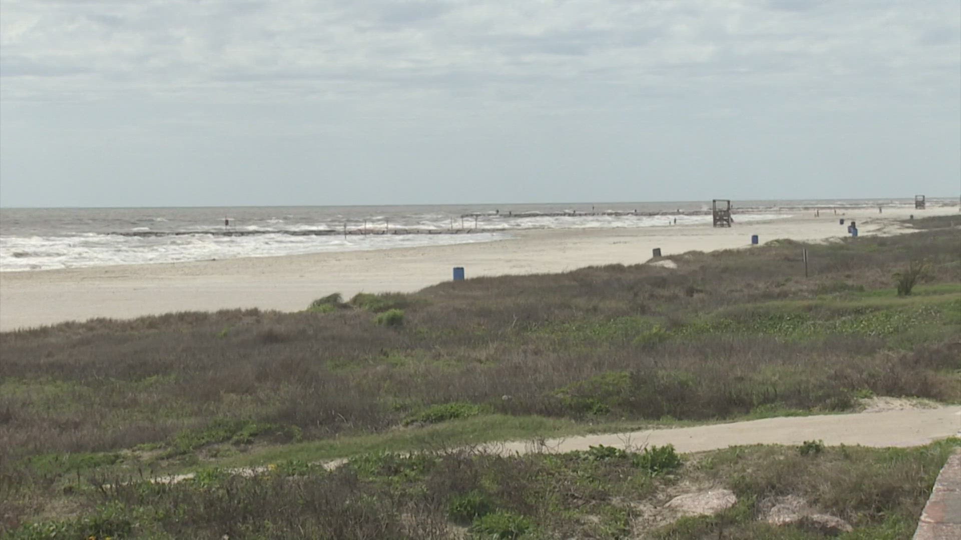 Beaches from La Porte to Galveston and down to Corpus Christi are infested with fecal matter, according to a new study.
