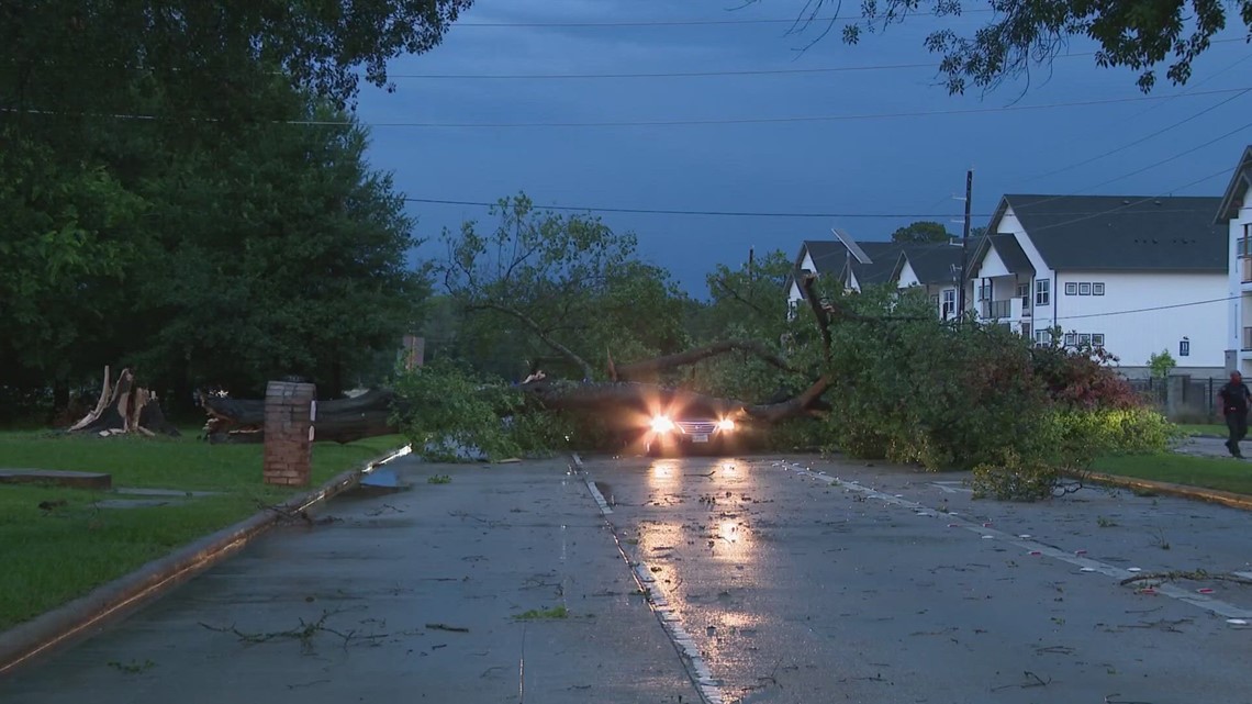 1 tewas setelah pohon tumbang menimpa kendaraan saat badai |  Berita Houston, Texas