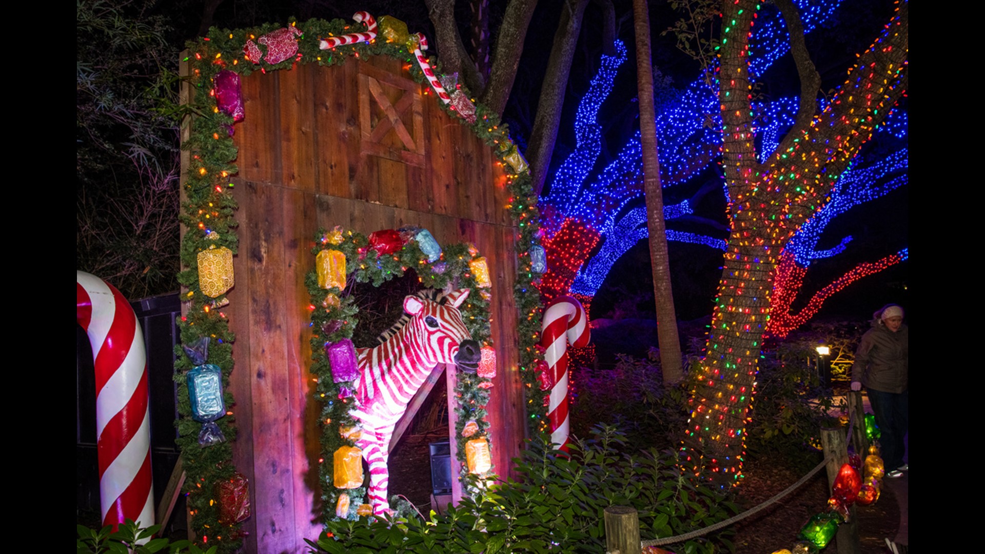 Where to see Christmas lights in Houston area