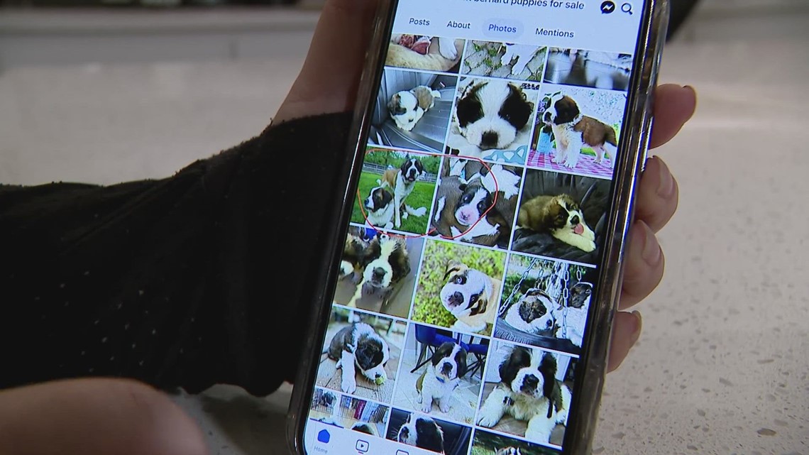 Houston news: Fort Bend County woman scammed tryinig to buy dog - Vimarsana News