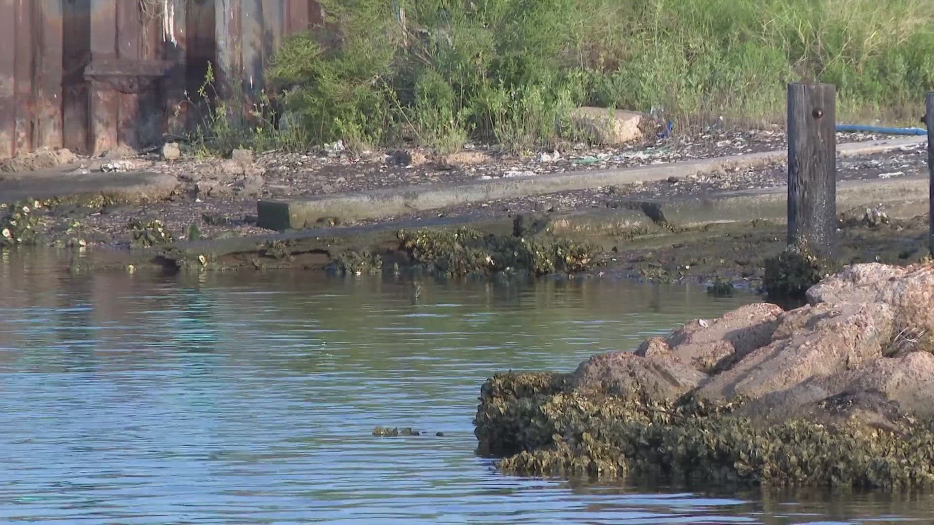 Brandy Pendergraft said her dad, Randy Bunch, 66, didn't notice he had a days-old scrape on his foot when he stepped into the shallow water without his wading boots.