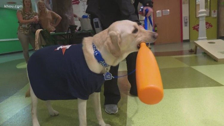 Baseball-playing dog brings joy to Astros fans at local hosptial