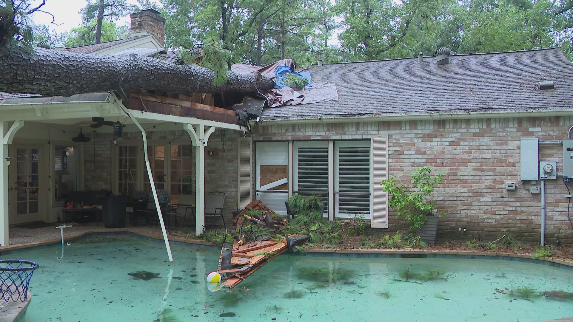 A Kingwood man shared his near-death experience with KHOU 11 News after he was nearly killed by a falling massive pine tree earlier this week.