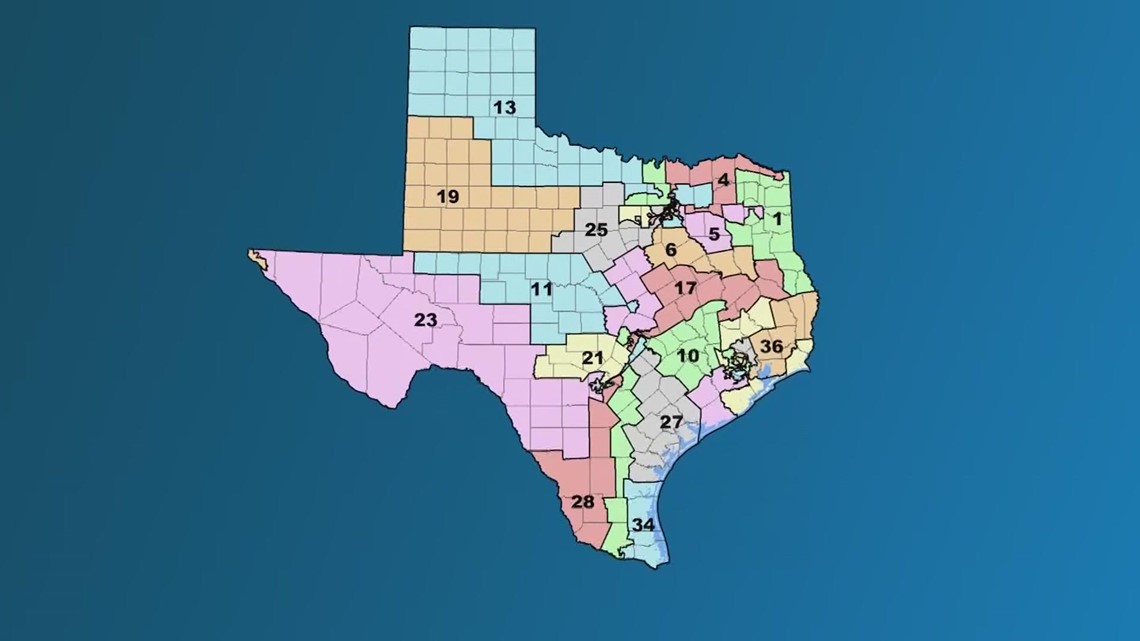 Senator GOP: Texas melanggar undang-undang hak suara saat melakukan redistricting