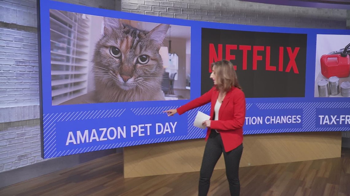 Consumer tips In May, you can save money on your pets on Amazon