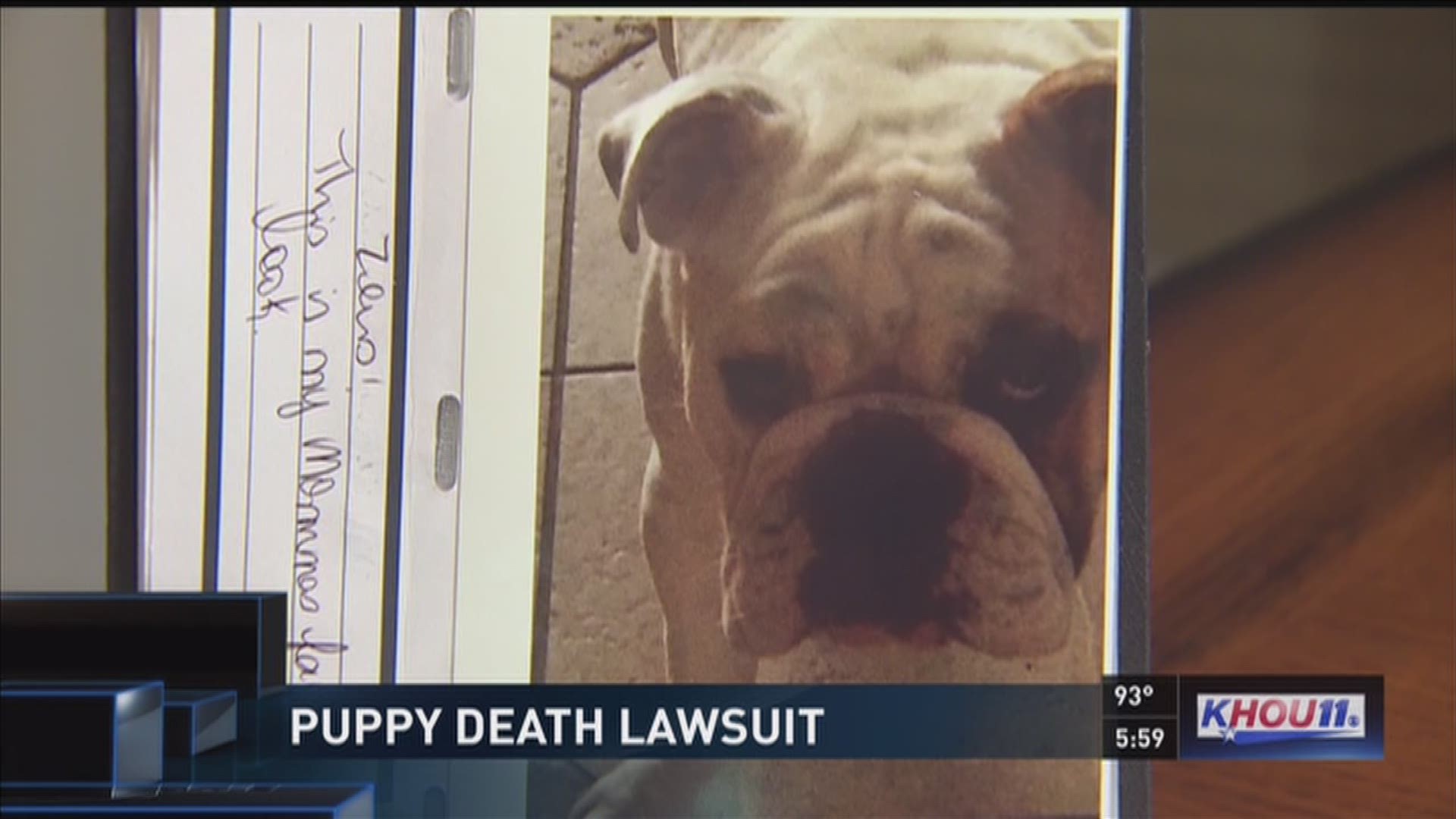A family is suing a Houston-area vet clinc after their puppy died during surgery.