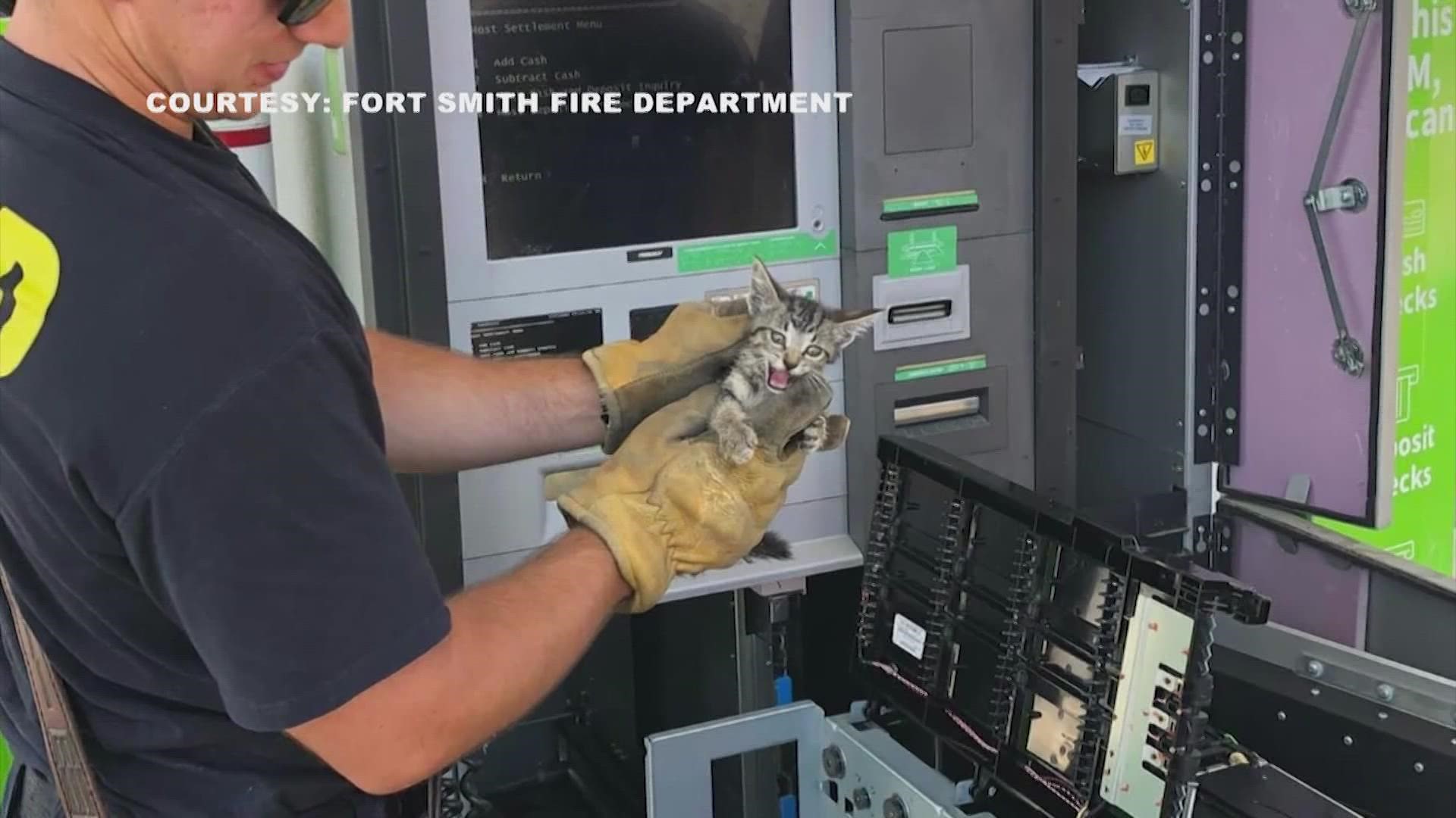 Jason Barron, an armed security guard for Looms Armored, found a kitten stuck inside an ATM during the middle of his shift.