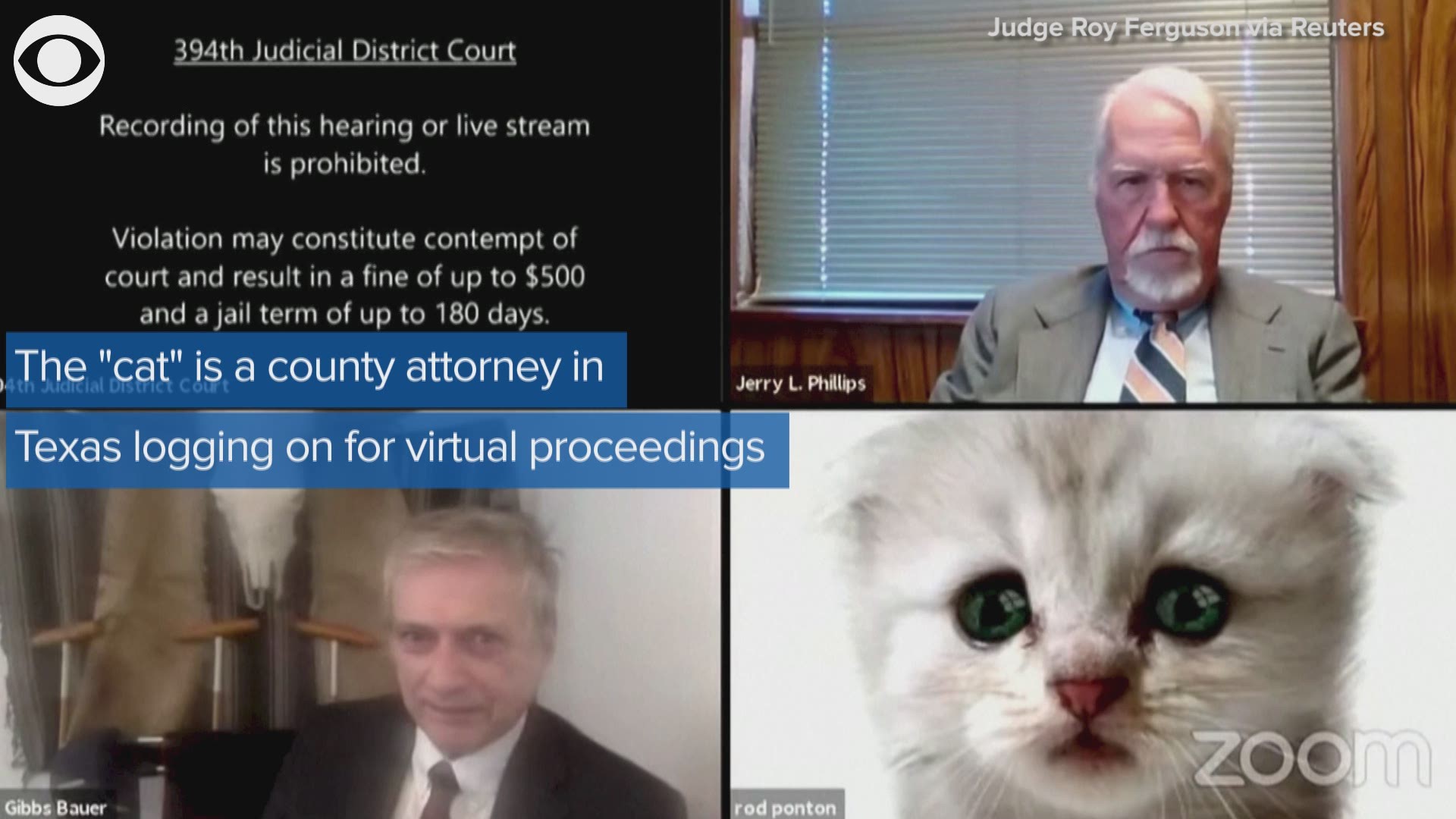 “I’m here live. I’m not a cat,” the attorney said when he realized a cute kitten filter had replaced his face on the call. No kitten? Thanks for clarifying.