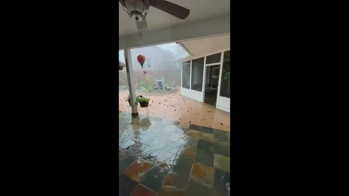 Wild Ride | khou.com