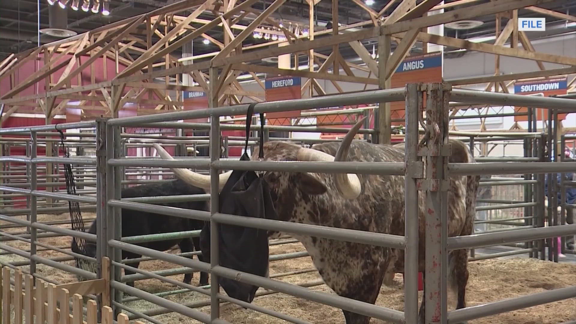 Fake Rodeo Houston police warn of rodeo ticket scammers on social media | khou.com