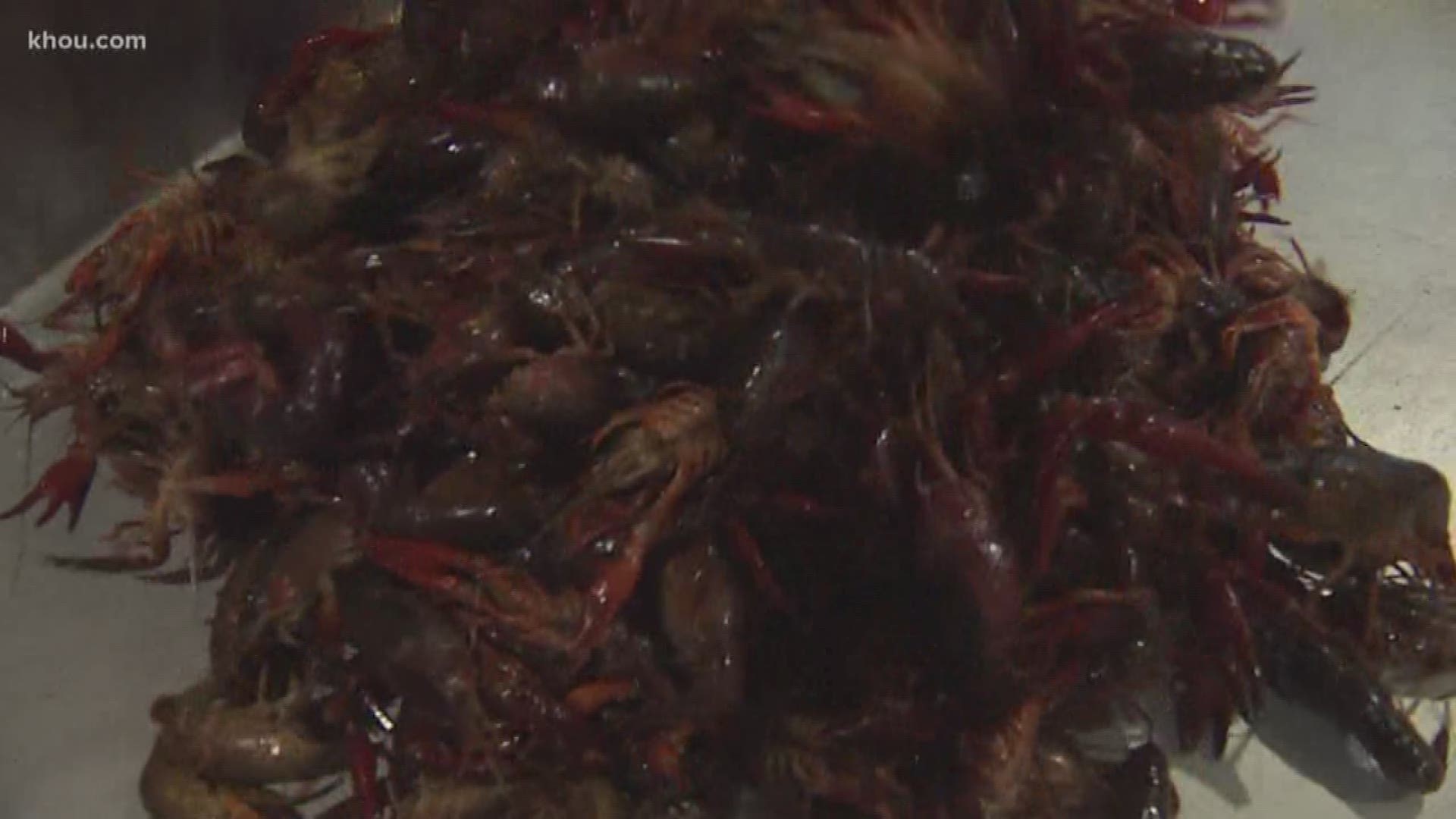 Your eyes aren't playing tricks on you. It's crawfish in November at one Manvel restaurant.