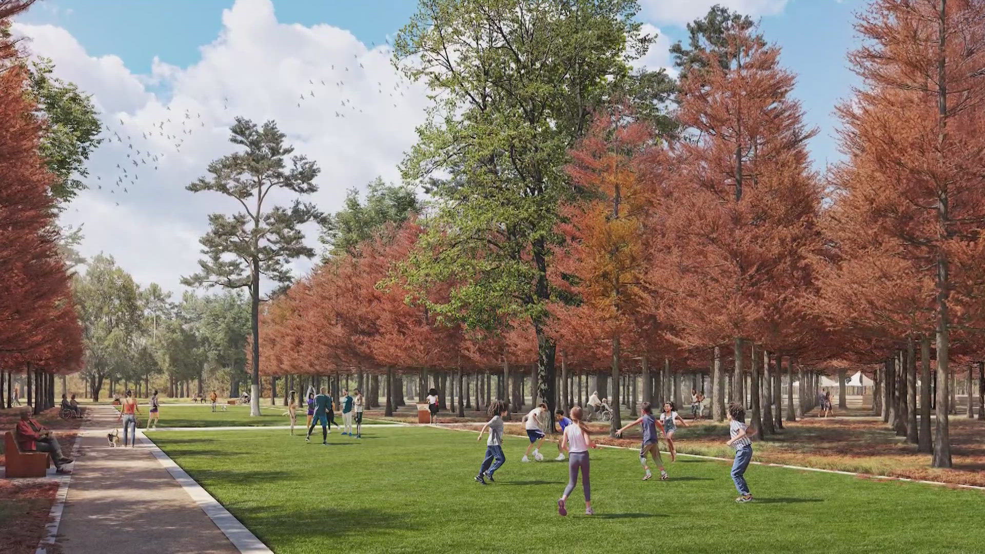 Memorial Park Conservancy unveils $42 million project to transform 100 acres into a living tribute. The plan includes 2,000 bald cypress trees planted in formation.