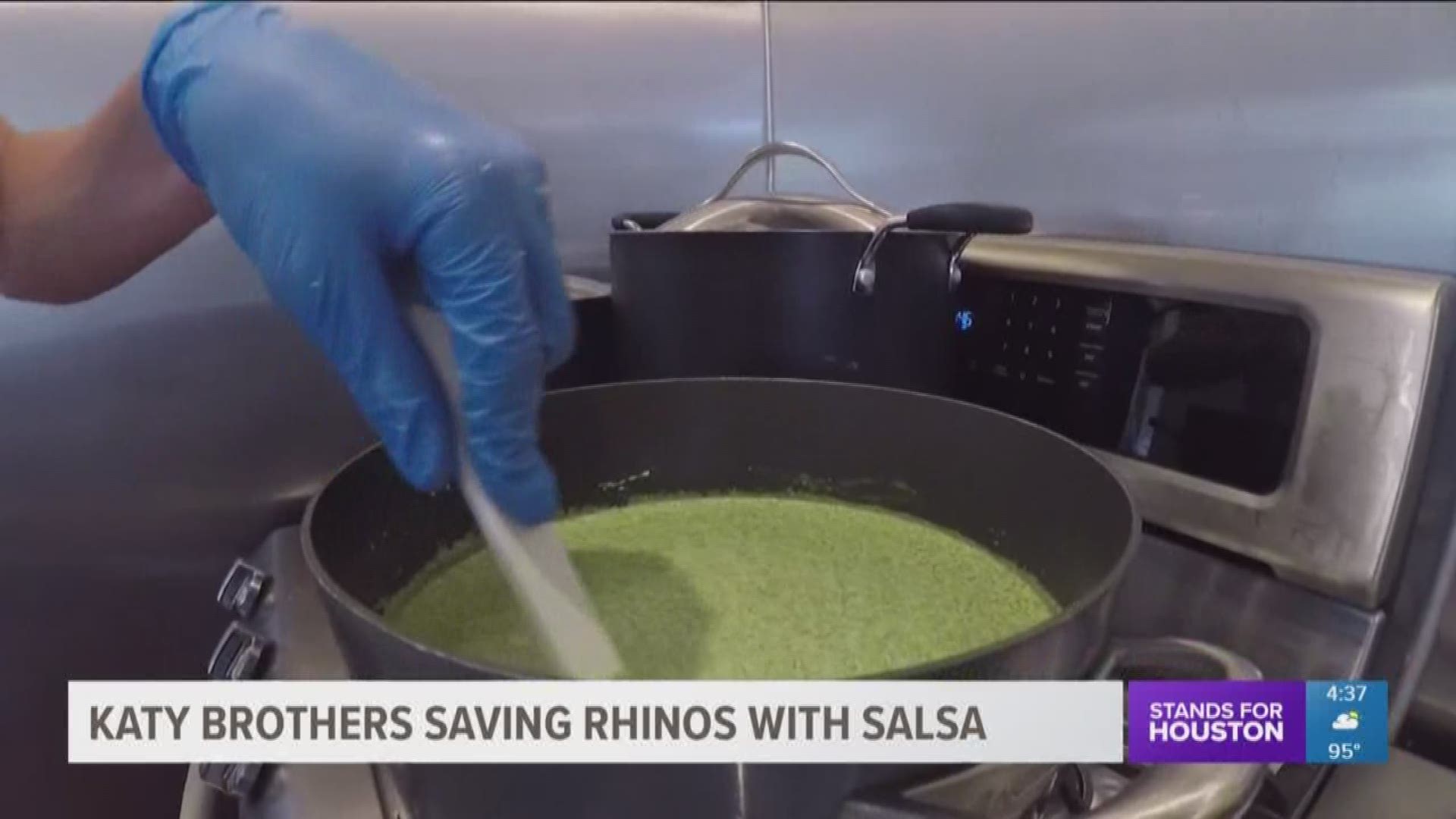 Three Katy brothers and their mom are helping save rhinos through salsa.
