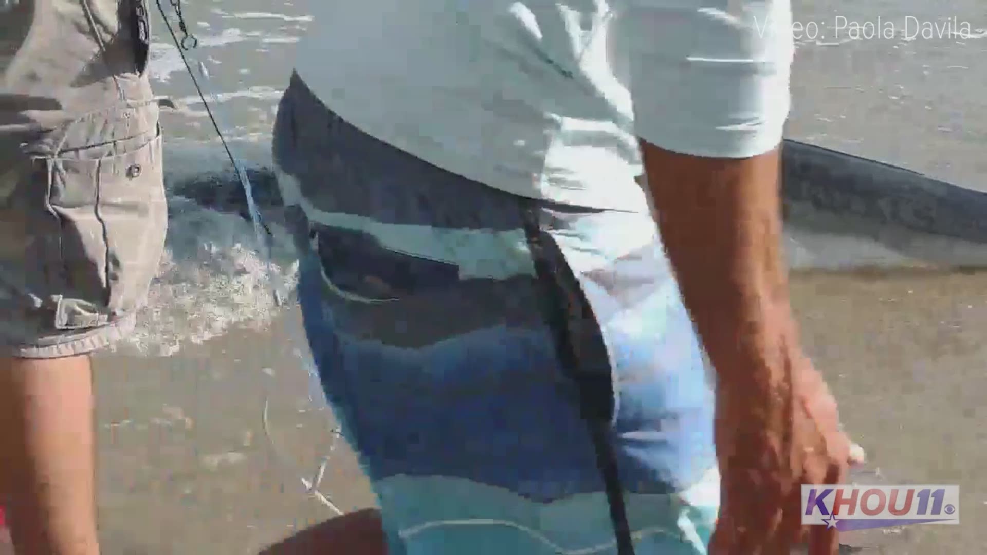 Viewer video shows a fisherman who caught a shark on Galveston Beach. He unhooked it and took it back into the water.