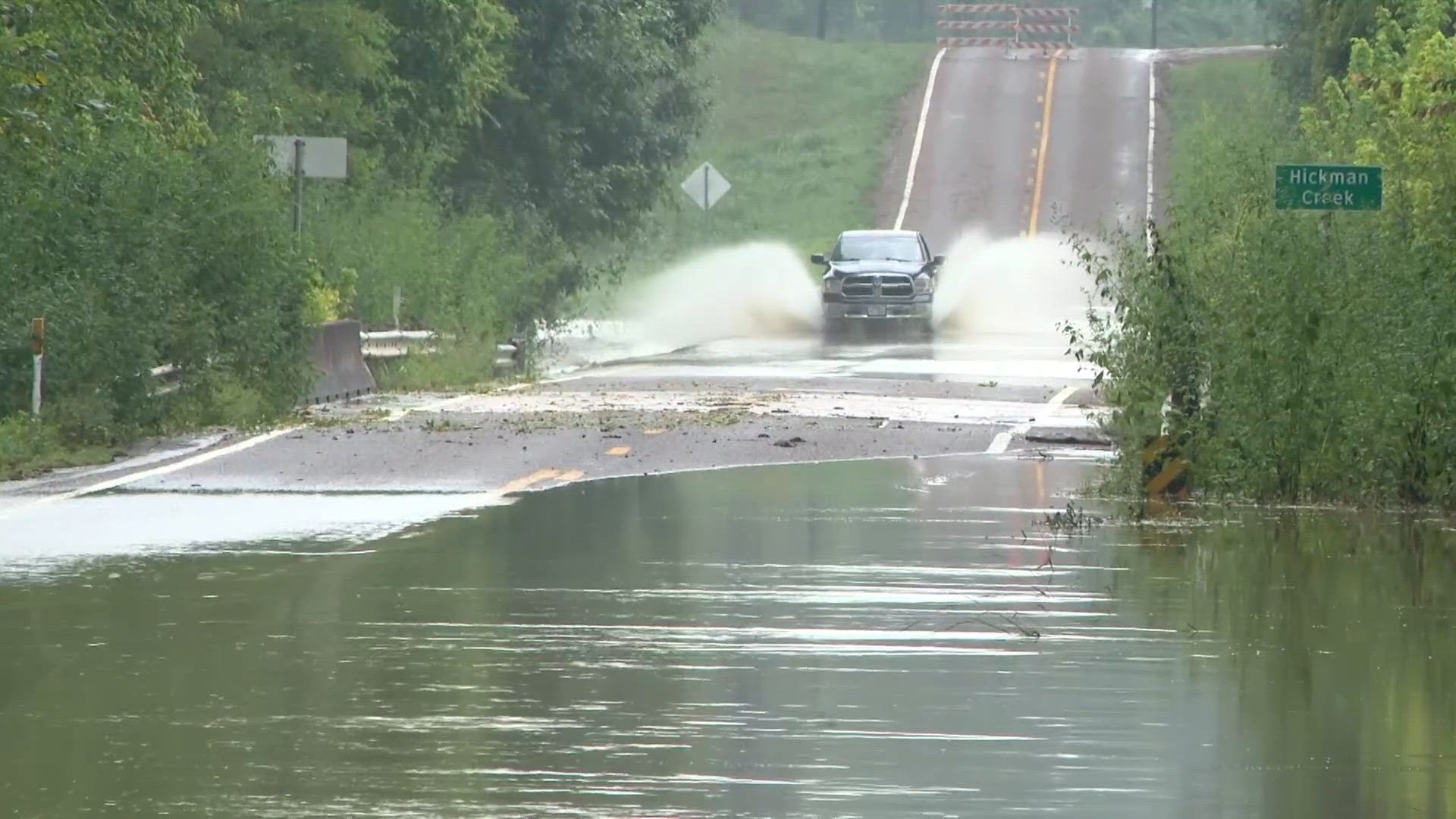 Rain Tree Example More heavy rain hits Livingston after Edouard brings flooding, downed ...