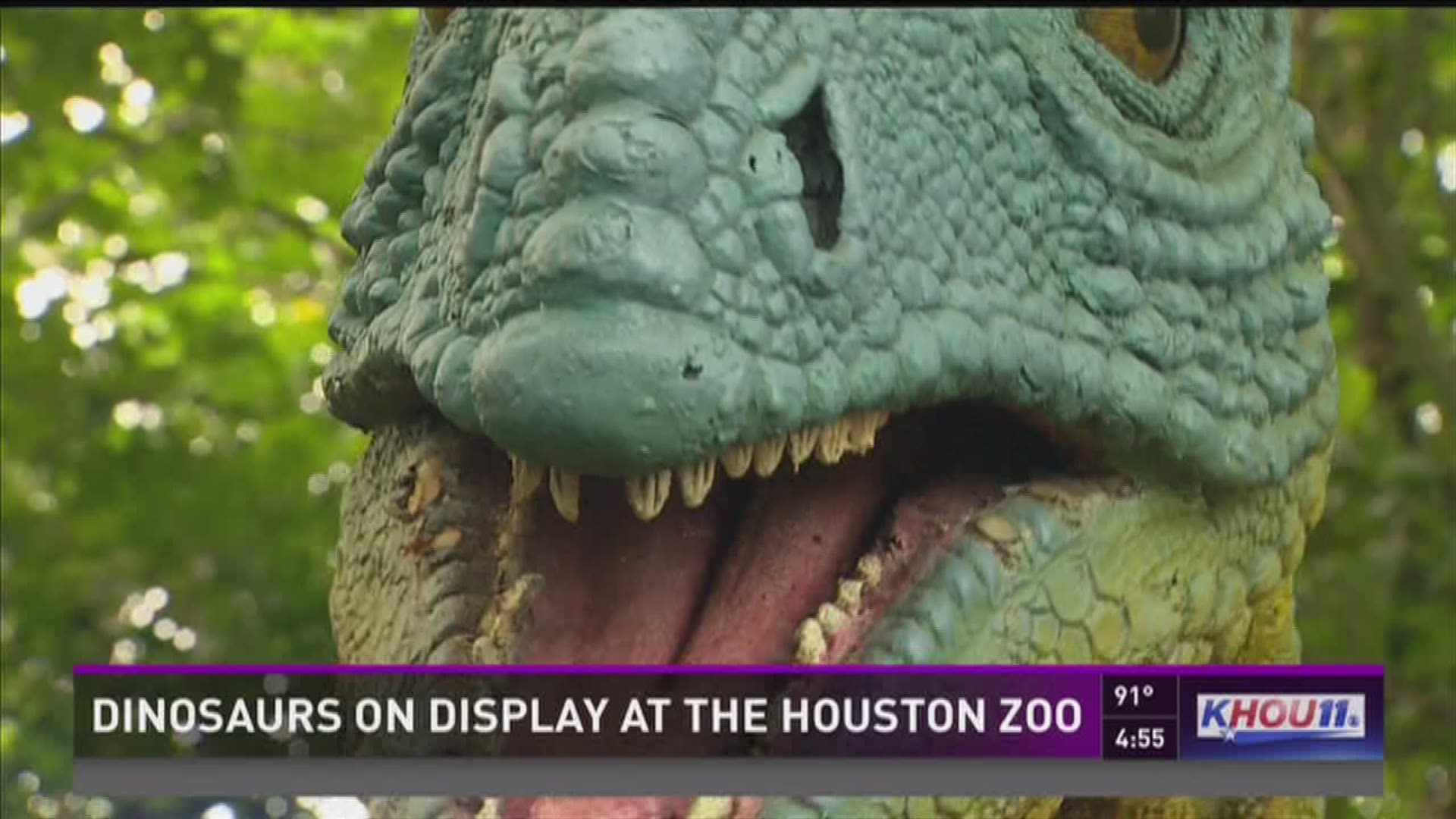 Life Like Dinosaurs Move Into Houston Zoo For The Summer Khou Com