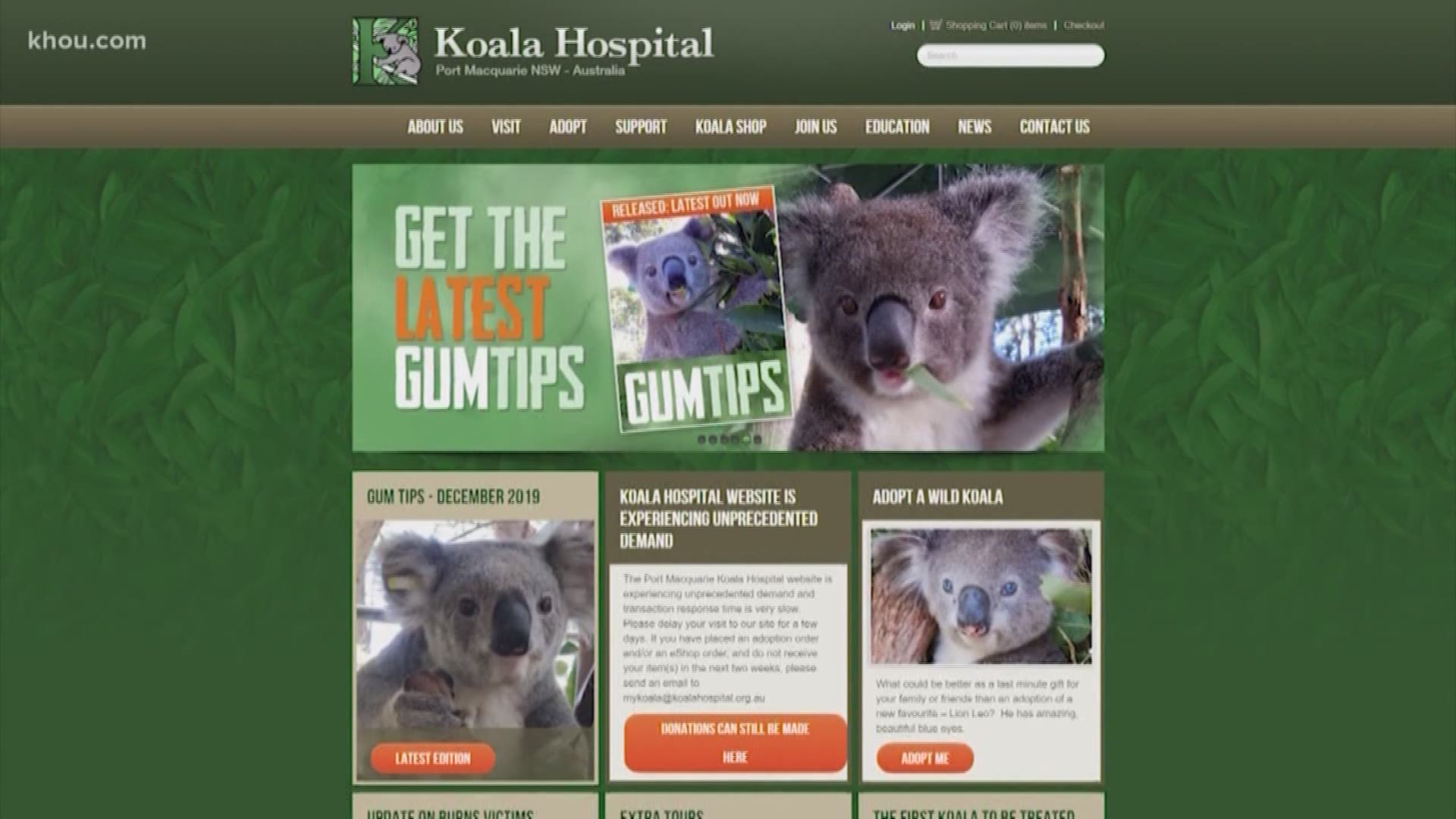 Is the Koala Hospital a legitimate charity?
