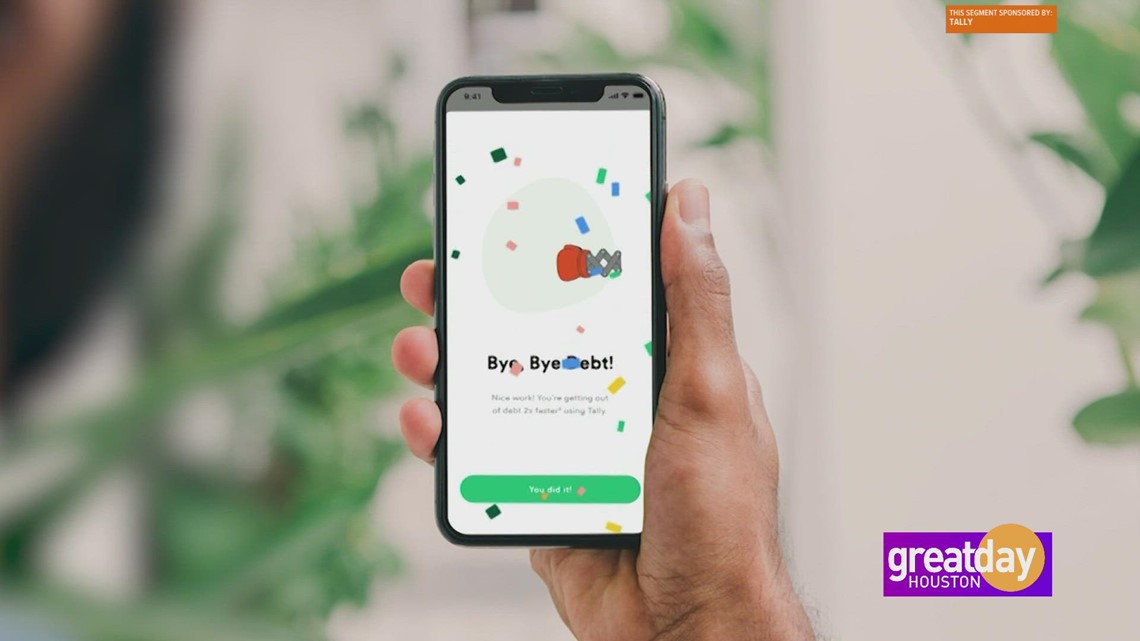 Keluar dari hutang kartu kredit lebih cepat dengan Tally