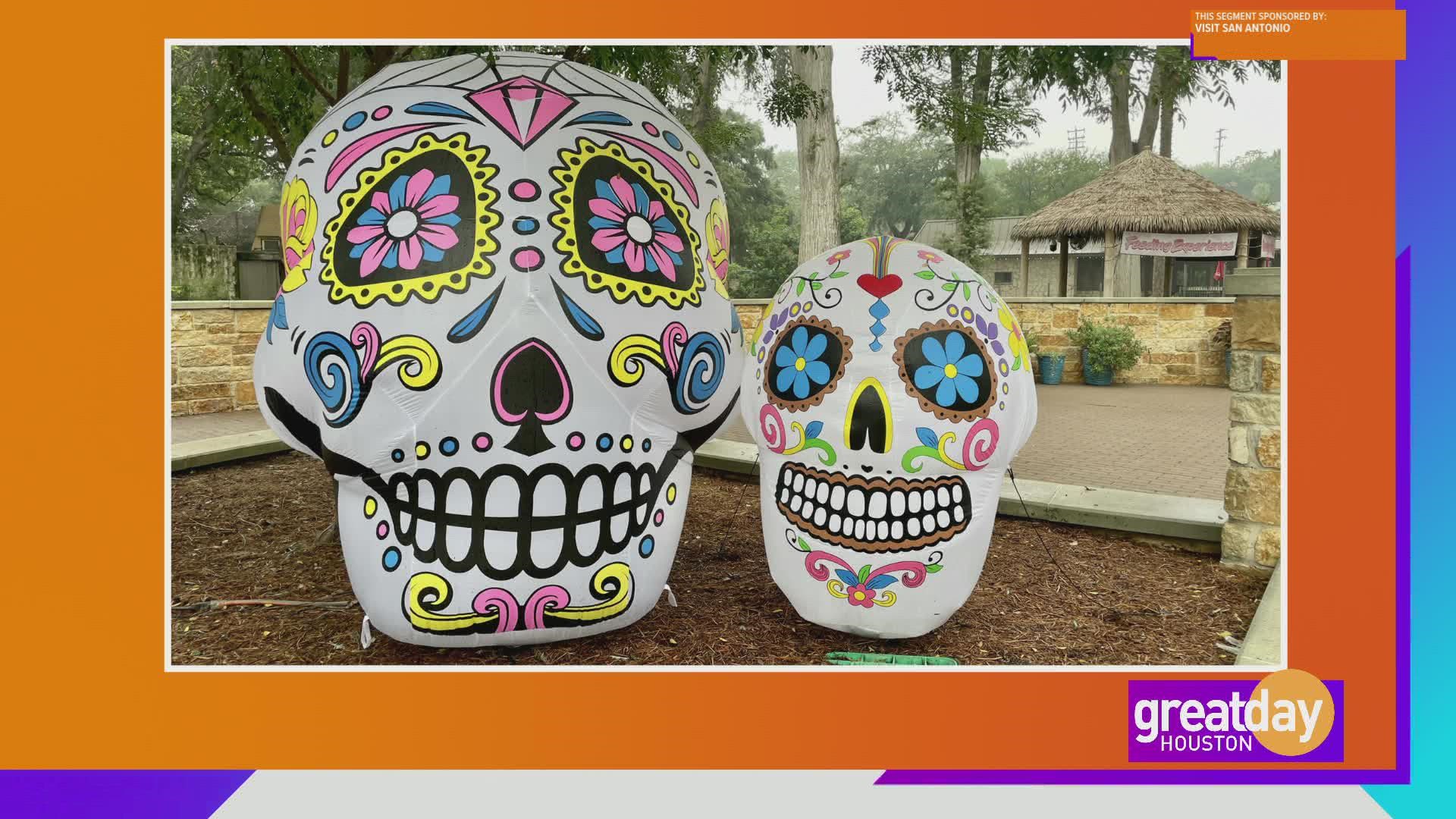 David Gonzalez shared all of the fun activities to take part in at the Dia De Los Muertos festival in San Antonio.