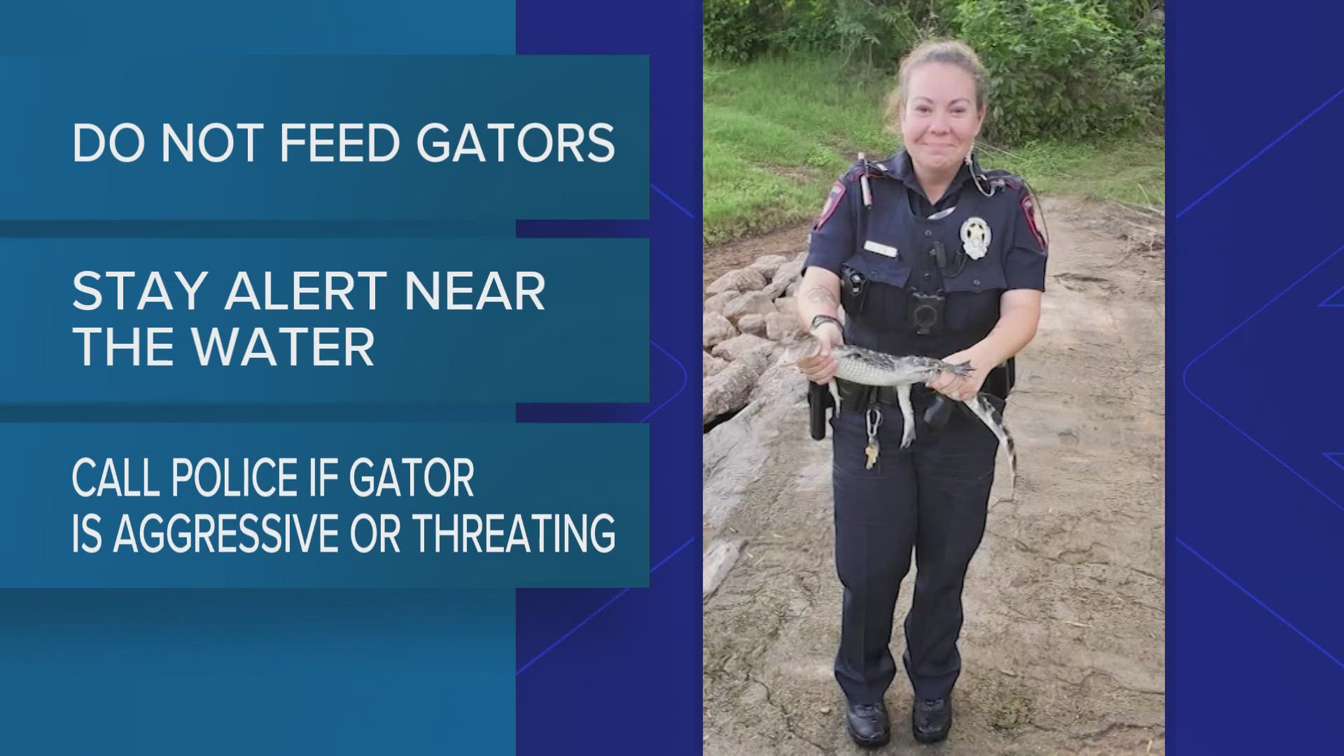 As temperatures warm up, Fulshear police are issuing critical safety warnings about increased alligator activity in the area. Take precautions!