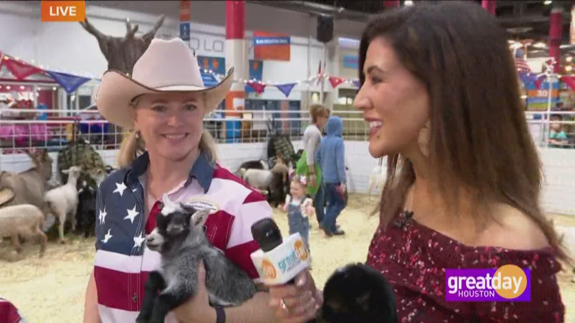 The Petting Zoo at the Houston Livestock Show and Rodeo 